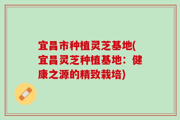 宜昌市种植灵芝基地(宜昌灵芝种植基地：健康之源的精致栽培)