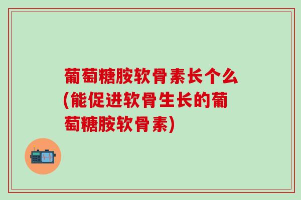 葡萄糖胺软骨素长个么(能促进软骨生长的葡萄糖胺软骨素)