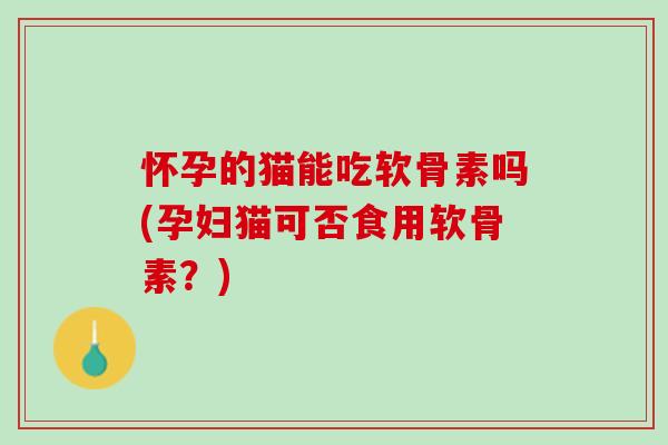 怀孕的猫能吃软骨素吗(孕妇猫可否食用软骨素？)