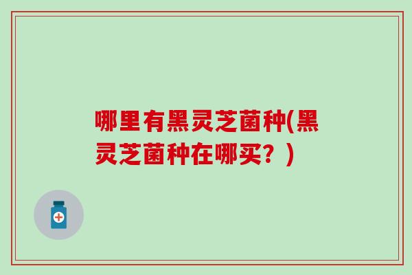 哪里有黑灵芝菌种(黑灵芝菌种在哪买？)