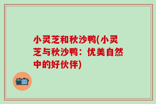 小灵芝和秋沙鸭(小灵芝与秋沙鸭：优美自然中的好伙伴)