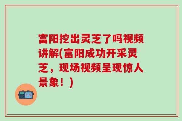 富阳挖出灵芝了吗视频讲解(富阳成功开采灵芝，现场视频呈现惊人景象！)