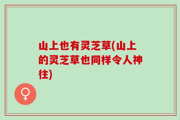 山上也有灵芝草(山上的灵芝草也同样令人神往)