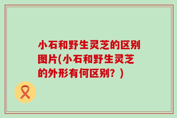 小石和野生灵芝的区别图片(小石和野生灵芝的外形有何区别？)