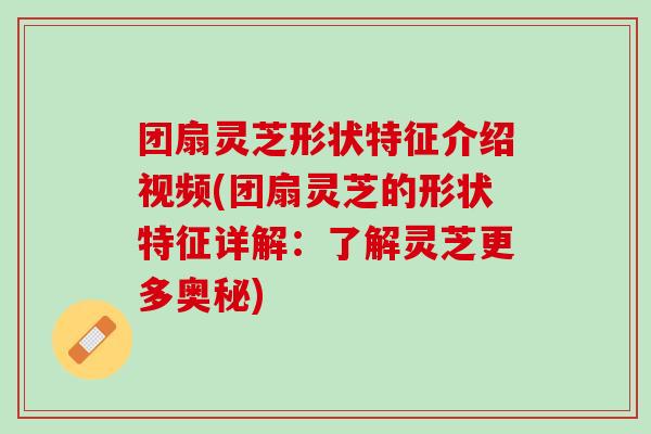 团扇灵芝形状特征介绍视频(团扇灵芝的形状特征详解：了解灵芝更多奥秘)