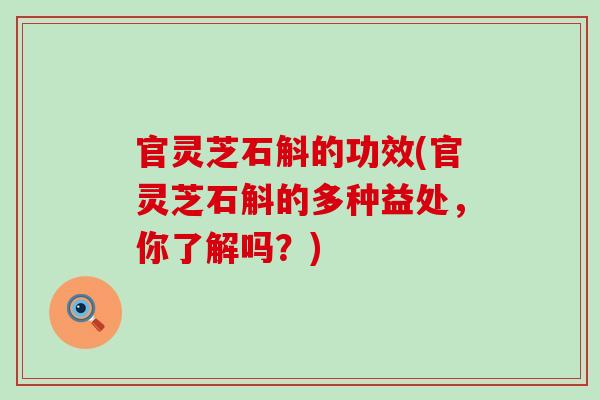 官灵芝石斛的功效(官灵芝石斛的多种益处，你了解吗？)