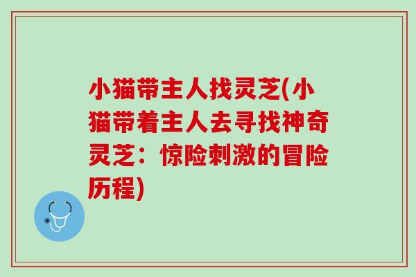 小猫带主人找灵芝(小猫带着主人去寻找神奇灵芝：惊险刺激的冒险历程)