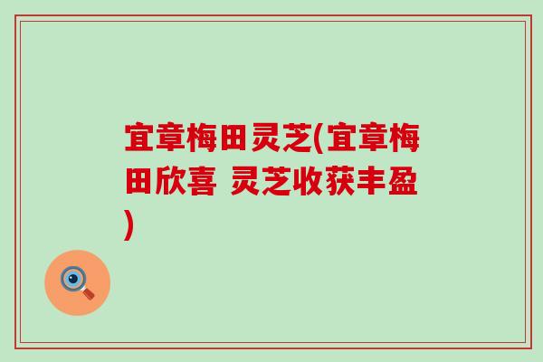 宜章梅田灵芝(宜章梅田欣喜 灵芝收获丰盈)