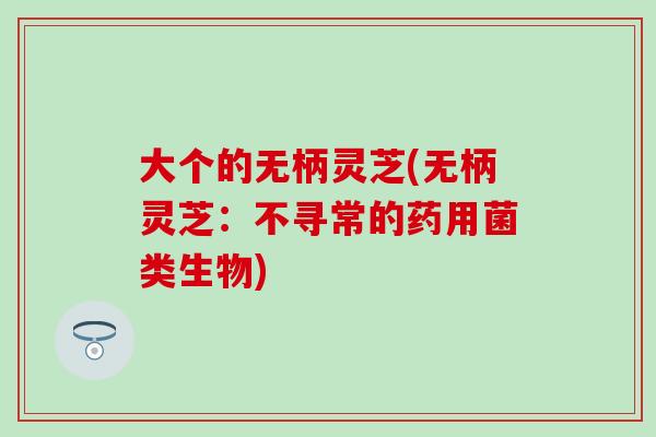 大个的无柄灵芝(无柄灵芝：不寻常的药用菌类生物)