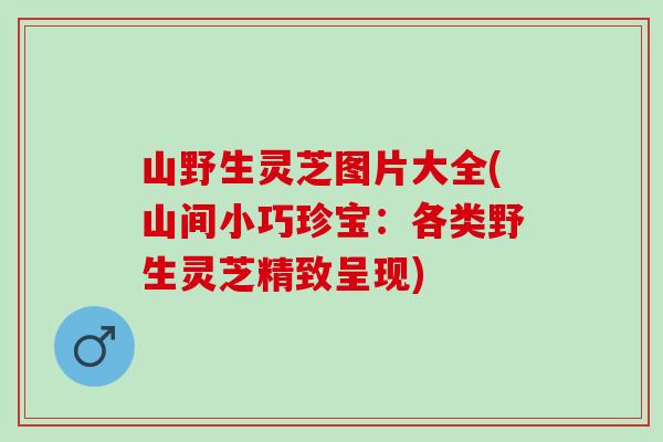 山野生灵芝图片大全(山间小巧珍宝：各类野生灵芝精致呈现)