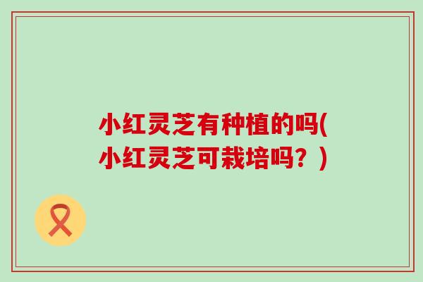 小红灵芝有种植的吗(小红灵芝可栽培吗？)