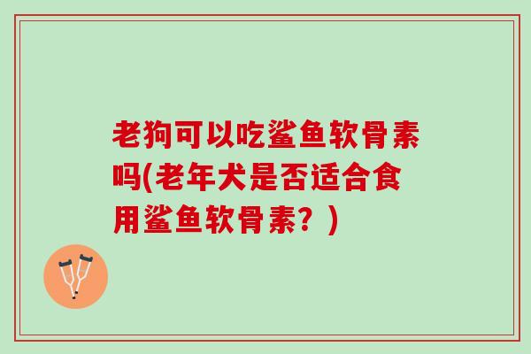 老狗可以吃鲨鱼软骨素吗(老年犬是否适合食用鲨鱼软骨素?) 老狗可以吃鲨鱼软骨素吗(老年犬是否适合食用鲨鱼软骨素?)