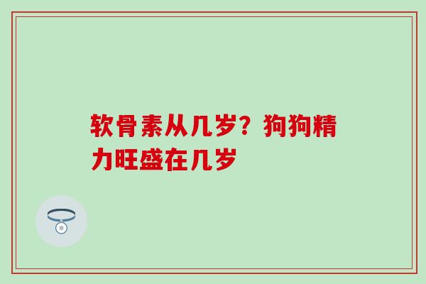 软骨素从几岁？狗狗精力旺盛在几岁