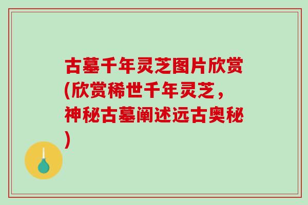 古墓千年灵芝图片欣赏(欣赏稀世千年灵芝，神秘古墓阐述远古奥秘)