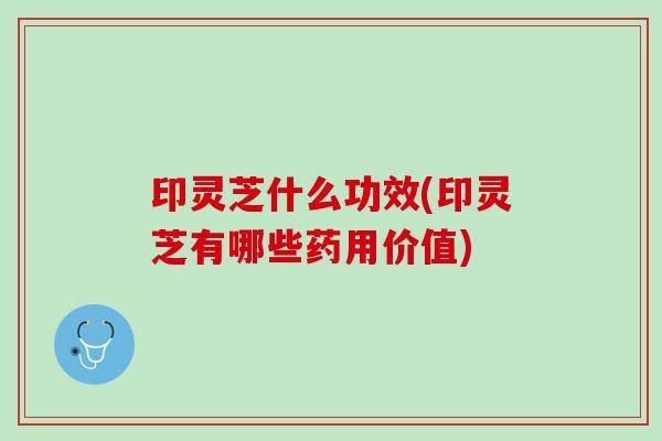印灵芝什么功效(印灵芝有哪些药用价值)