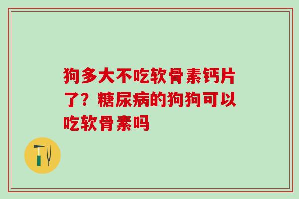 狗多大不吃软骨素钙片了？糖尿病的狗狗可以吃软骨素吗