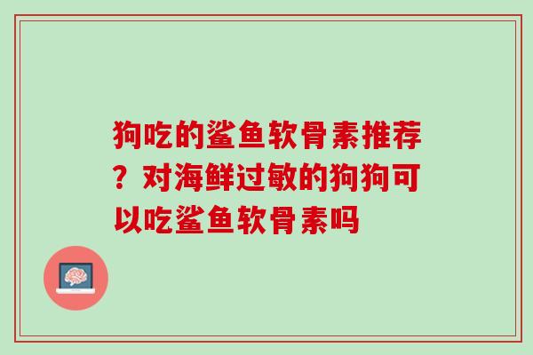 狗吃的鲨鱼软骨素推荐？对海鲜过敏的狗狗可以吃鲨鱼软骨素吗