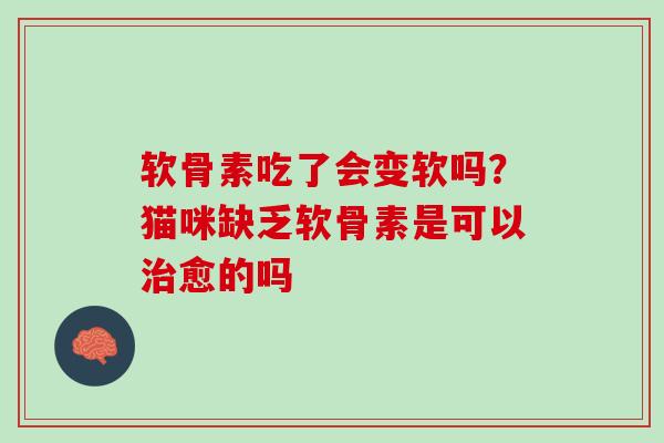 软骨素吃了会变软吗？猫咪缺乏软骨素是可以治愈的吗