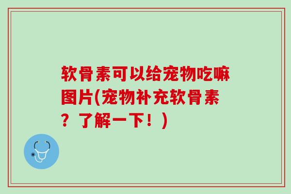 软骨素可以给宠物吃嘛图片(宠物补充软骨素？了解一下！)