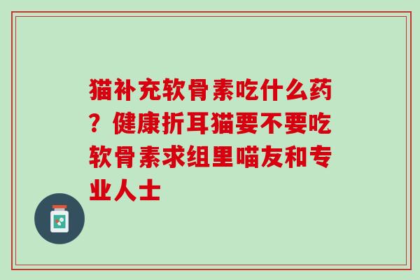 猫补充软骨素吃什么药？健康折耳猫要不要吃软骨素求组里喵友和专业人士