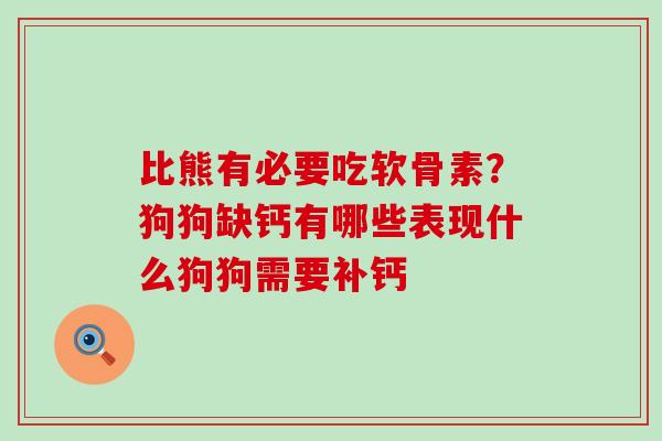 比熊有必要吃软骨素？狗狗缺钙有哪些表现什么狗狗需要补钙
