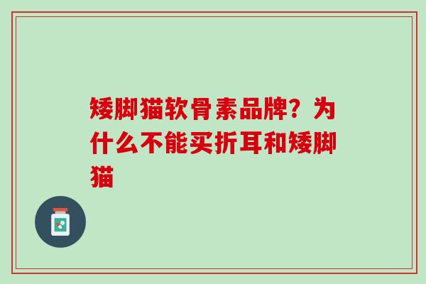 矮脚猫软骨素品牌？为什么不能买折耳和矮脚猫