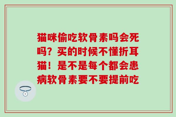 猫咪偷吃软骨素吗会死吗？买的时候不懂折耳猫！是不是每个都会患病软骨素要不要提前吃