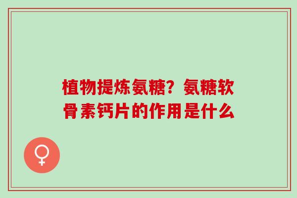 植物提炼氨糖？氨糖软骨素钙片的作用是什么