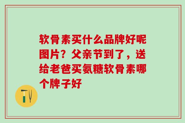 软骨素买什么品牌好呢图片？父亲节到了，送给老爸买氨糖软骨素哪个牌子好