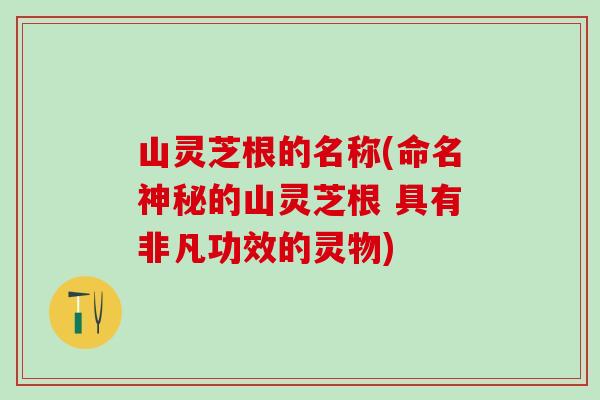 山灵芝根的名称(命名神秘的山灵芝根 具有非凡功效的灵物)