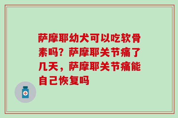 萨摩耶幼犬可以吃软骨素吗？萨摩耶关节痛了几天，萨摩耶关节痛能自己恢复吗
