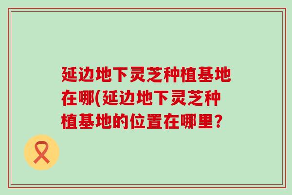 延边地下灵芝种植基地在哪(延边地下灵芝种植基地的位置在哪里？