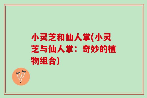 小灵芝和仙人掌(小灵芝与仙人掌：奇妙的植物组合)