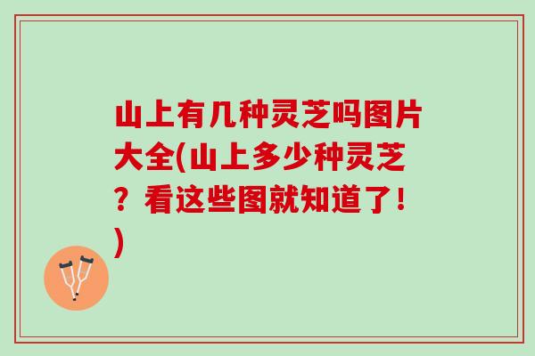 山上有几种灵芝吗图片大全(山上多少种灵芝？看这些图就知道了！)