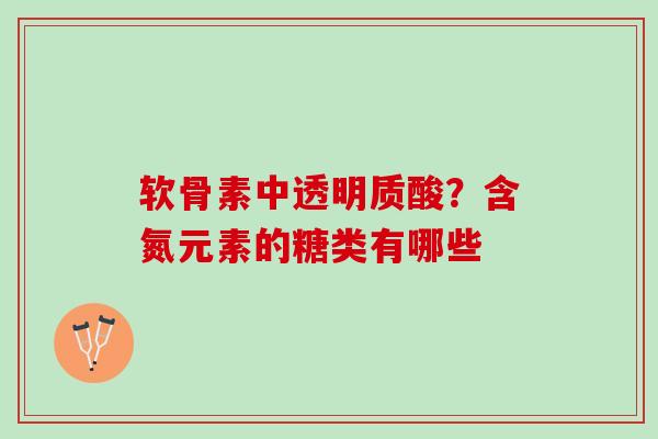 软骨素中透明质酸？含氮元素的糖类有哪些