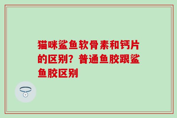 猫咪鲨鱼软骨素和钙片的区别？普通鱼胶跟鲨鱼胶区别