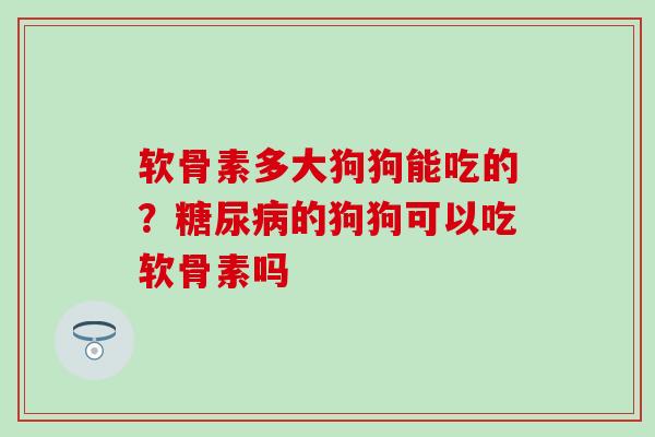 软骨素多大狗狗能吃的？糖尿病的狗狗可以吃软骨素吗
