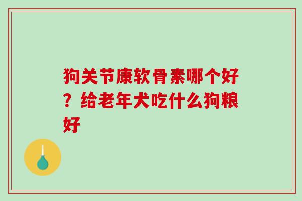 狗关节康软骨素哪个好？给老年犬吃什么狗粮好