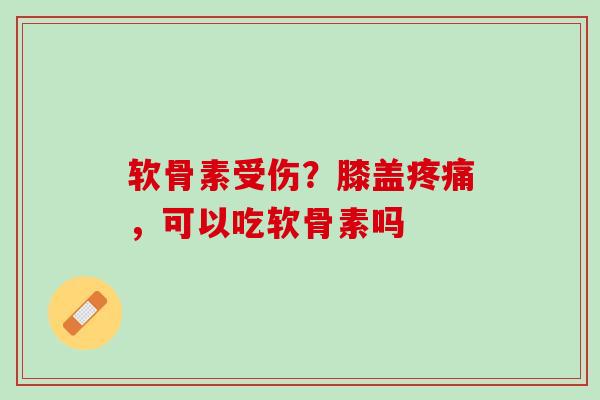软骨素受伤？膝盖疼痛，可以吃软骨素吗