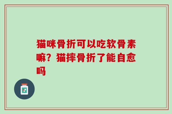 猫咪骨折可以吃软骨素嘛？猫摔骨折了能自愈吗