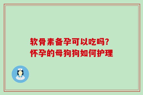 软骨素备孕可以吃吗？怀孕的母狗狗如何护理