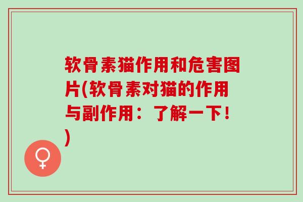 软骨素猫作用和危害图片(软骨素对猫的作用与副作用：了解一下！)