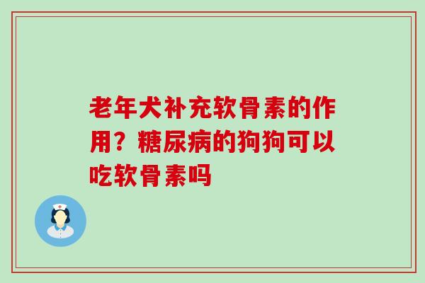 老年犬补充软骨素的作用？糖尿病的狗狗可以吃软骨素吗