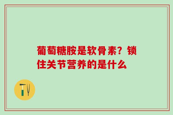 葡萄糖胺是软骨素？锁住关节营养的是什么