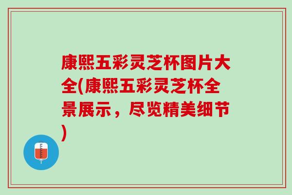 康熙五彩灵芝杯图片大全(康熙五彩灵芝杯全景展示，尽览精美细节)