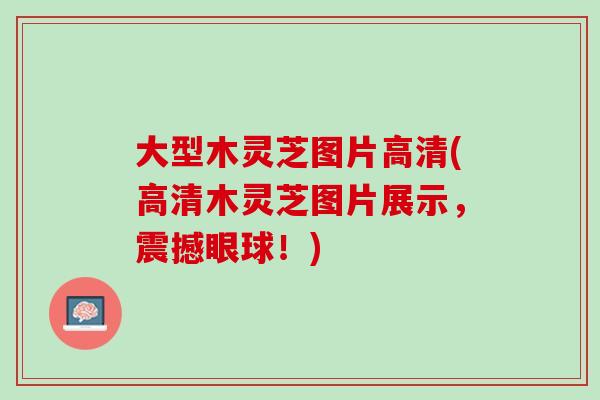 大型木灵芝图片高清(高清木灵芝图片展示，震撼眼球！)