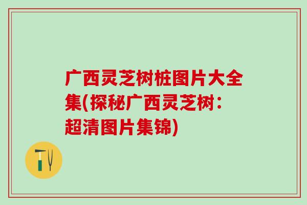 广西灵芝树桩图片大全集(探秘广西灵芝树：超清图片集锦)