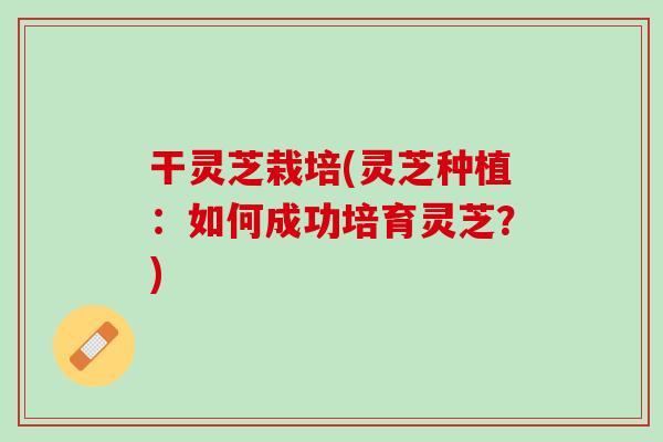 干灵芝栽培(灵芝种植：如何成功培育灵芝？)