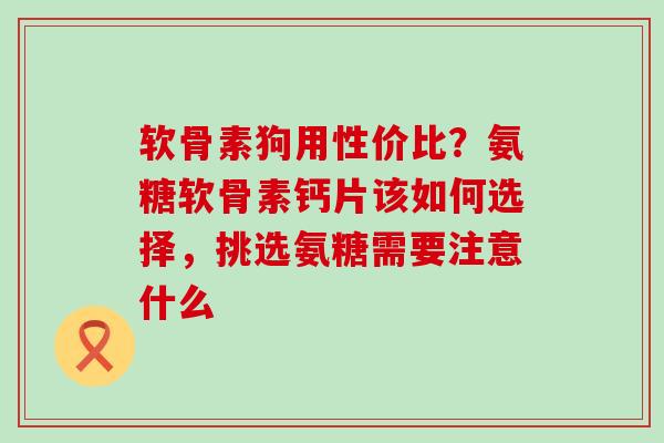 软骨素狗用性价比？氨糖软骨素钙片该如何选择，挑选氨糖需要注意什么