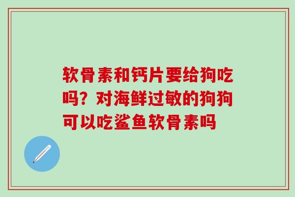 软骨素和钙片要给狗吃吗？对海鲜过敏的狗狗可以吃鲨鱼软骨素吗
